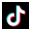 Tiktok Icon